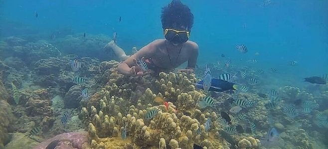 Spot Snorkeling Kece di Wisata Pulau Pari