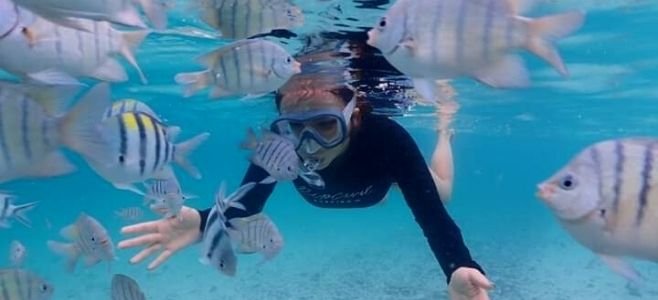 Spot Snorkeling Wisata Pulau Pramuka