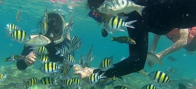 Spot Snorkeling Wisata Pulau Tidung Kepulauan Seribu