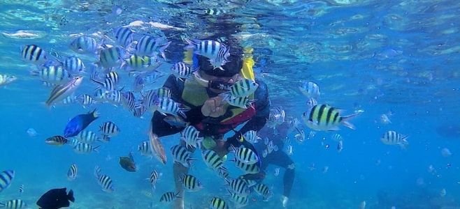 Dokumentasi Snorkeling Wisata Pulau Tidung