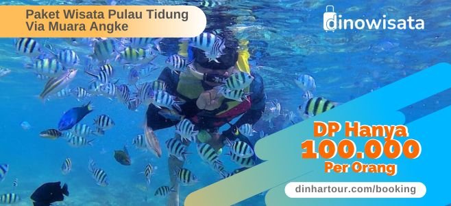 Booking Online Paket Wisata Pulau Tidung DP100K